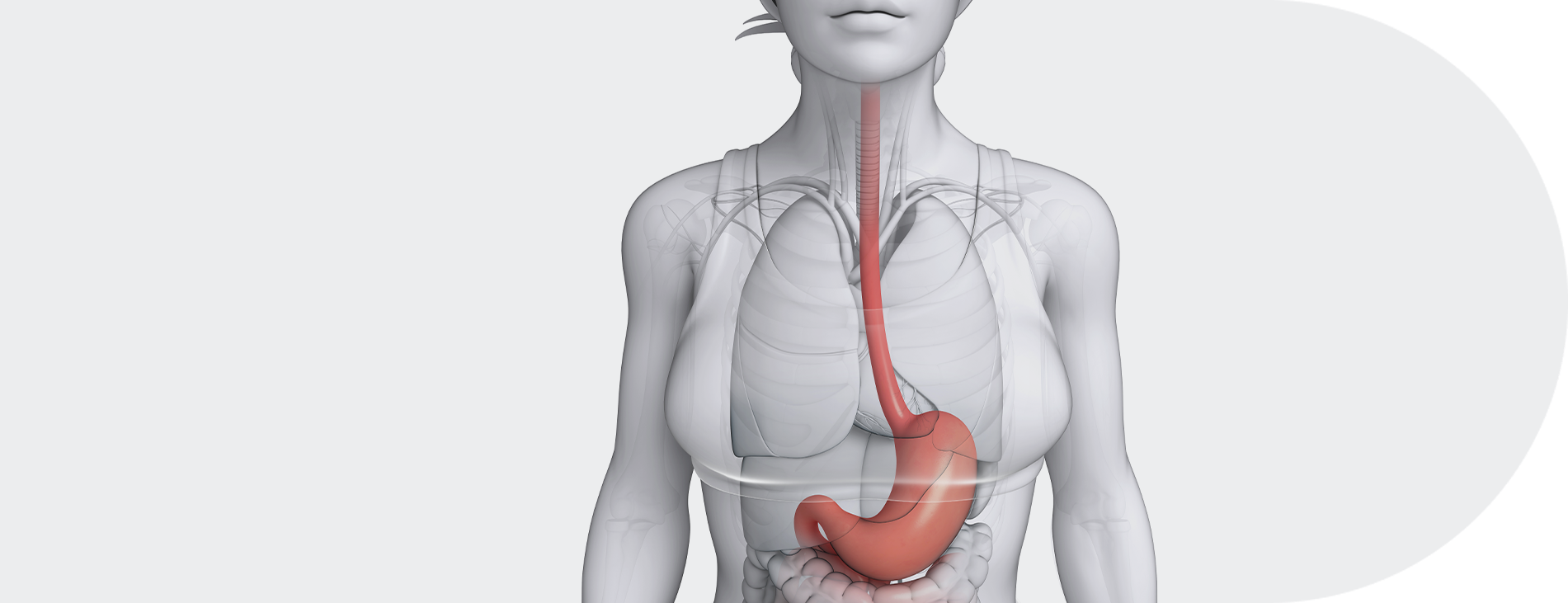 Imagem Câncer de estômago e esôfago