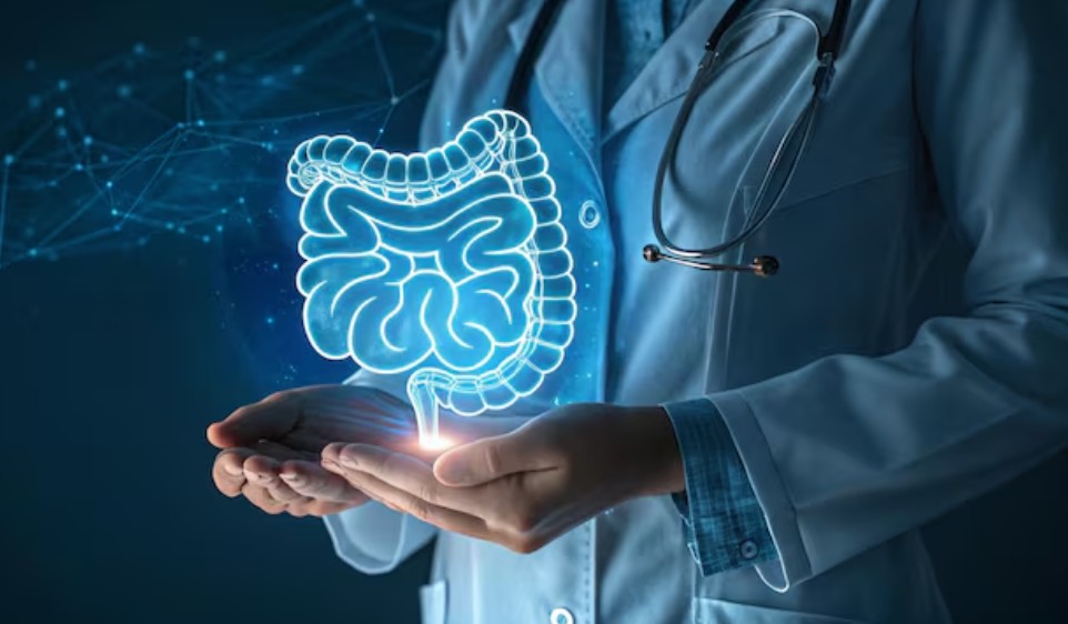 Tratamento do câncer gastrointestinal: por que cada tumor exige uma estratégia diferente?