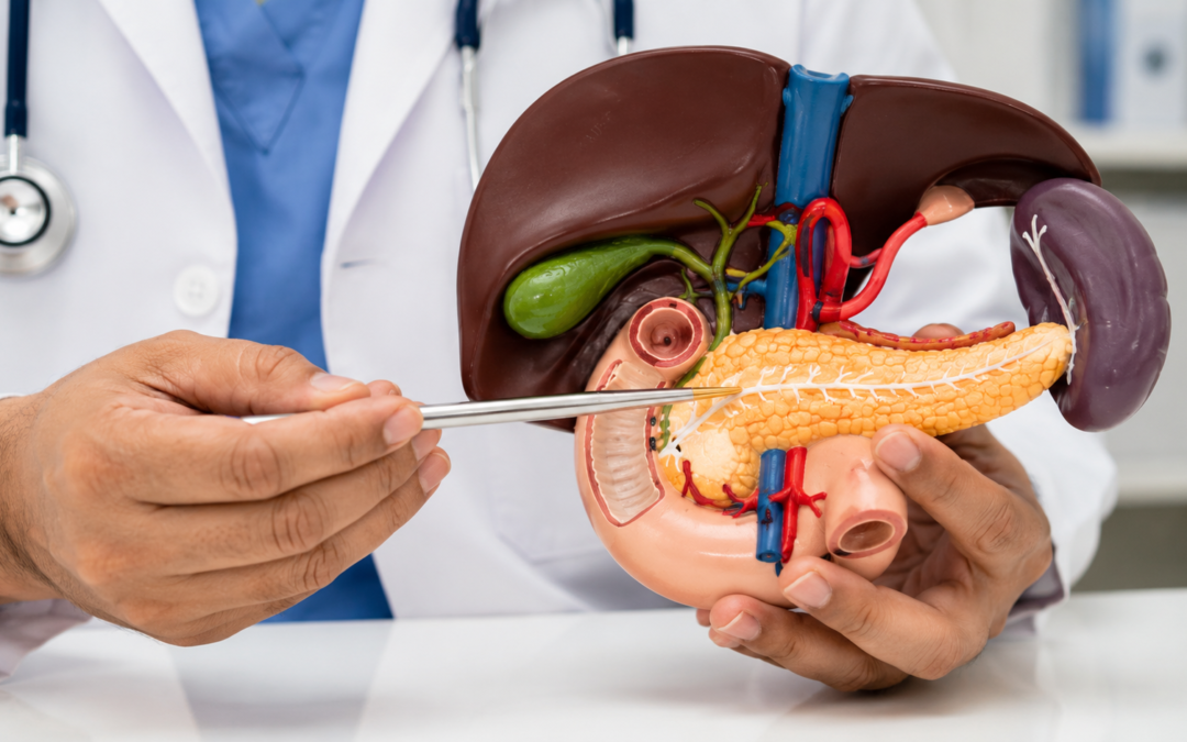 Sintomas de tumor no pâncreas: quais sinais merecem atenção e quando procurar avaliação médica?